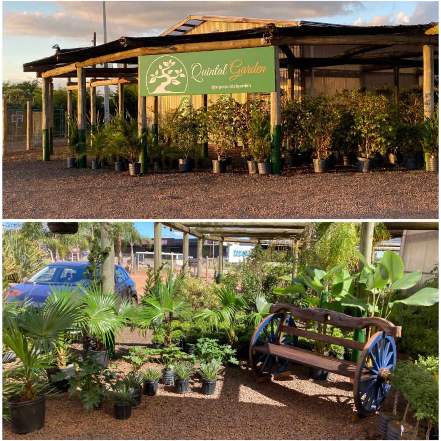 Foto garden 25.jpg